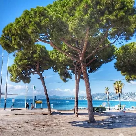 Διαμέρισμα Splendide 3 Pieces Vue